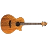 Cort NDXDAO - AM 6 Strings Semi Acoustic Guitar Cort NDXDAO - AM 6 Strings Semi Acoustic Guitar
